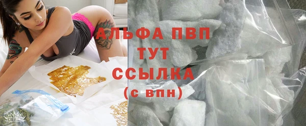 молекула духа Верхний Тагил