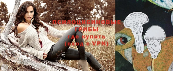 гашик Верея