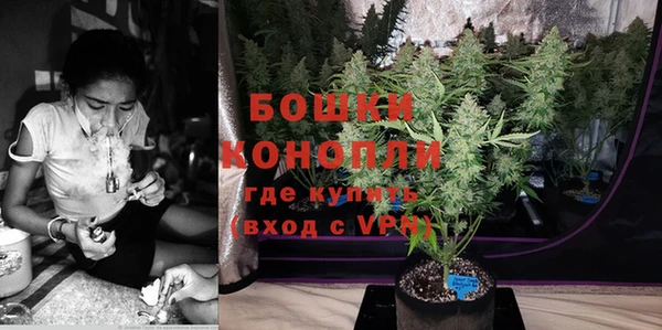гашик Верея