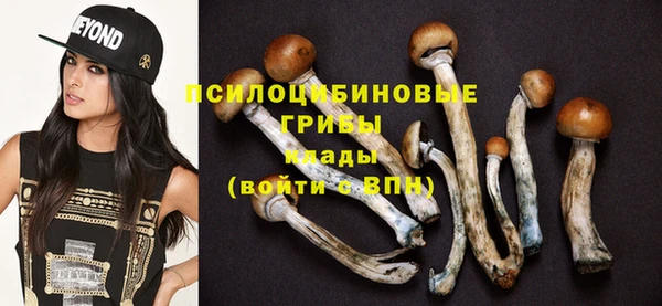 гашик Верея