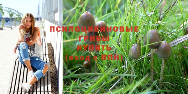гашик Верея